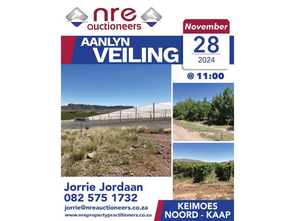 Winsbeslis vyf (pty) ltd  in besigheidsredding
