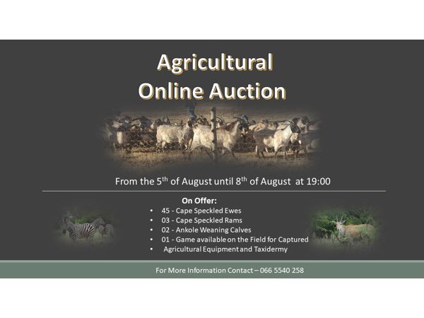 Agricultural  Auction