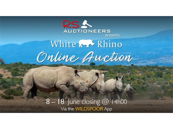 Rhino Online Auction 8-18 June 2021
