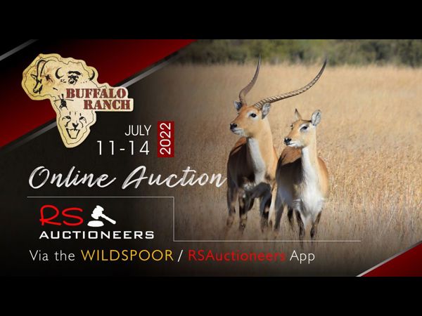 Buffalo Ranch Auction 14 July 2022