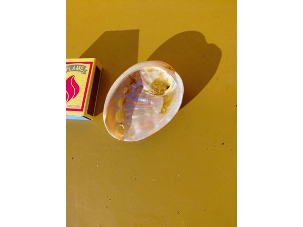 ~/upload/Lots/167783/AdditionalPhotos/x6hzjnpl4hec2/20260720_084421_t600x450.jpg